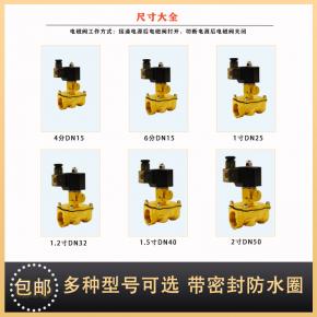 Solenoid valve Water valve Air valve High quality copper valve C220V DC24V